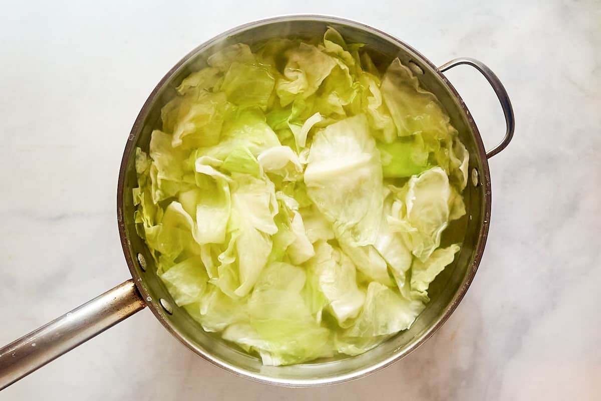Chopped cabbage in a pan.