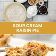 Sour cream raisin pie ingredients and a slice of the pie.
