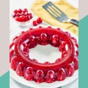 Cranberry jello salad on a platter and a bowl of fresh cranberries.