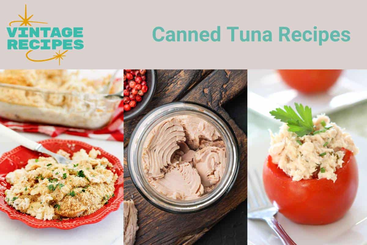 Tuna casserole, canned tuna, and tuna stuffed tomato.