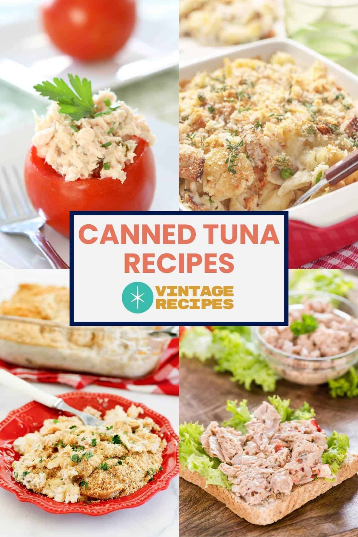 Tuna salad stuffed tomato, tuna casseroles, and tuna sandwich.