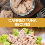 Jar of canned tuna and a tuna salad sandwich.